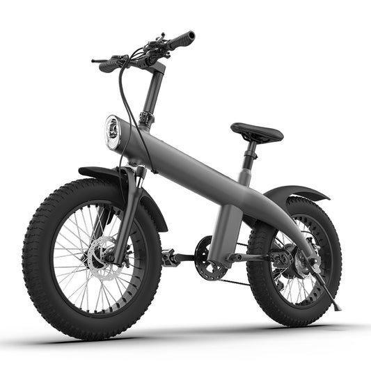 Off road variable speed folding electric bike